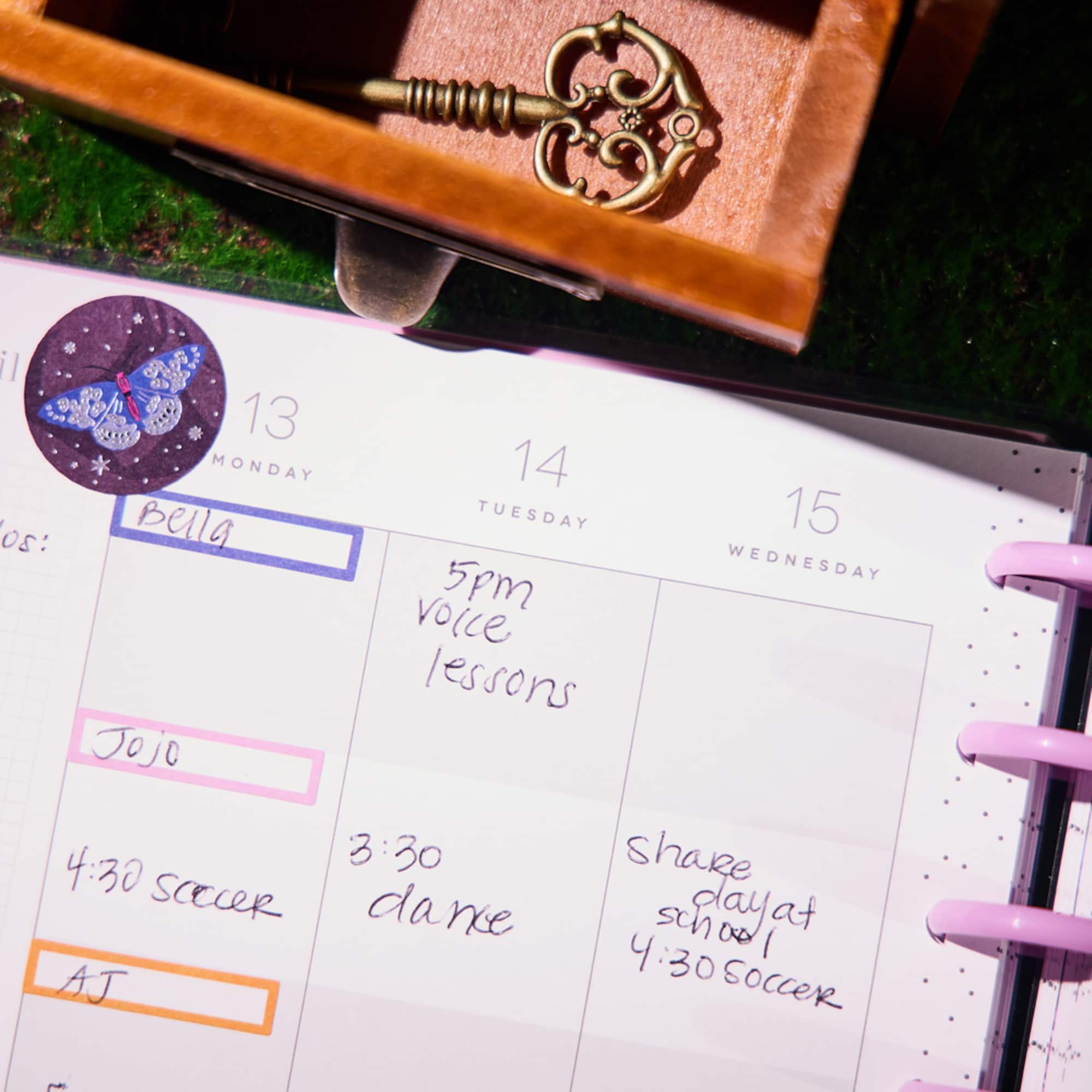 The Classic Happy Planner® Butterfly Botanics